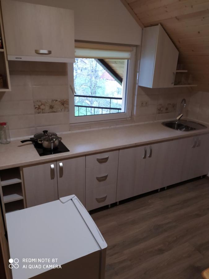 Panorama Apartment Kvasy Bagian luar foto