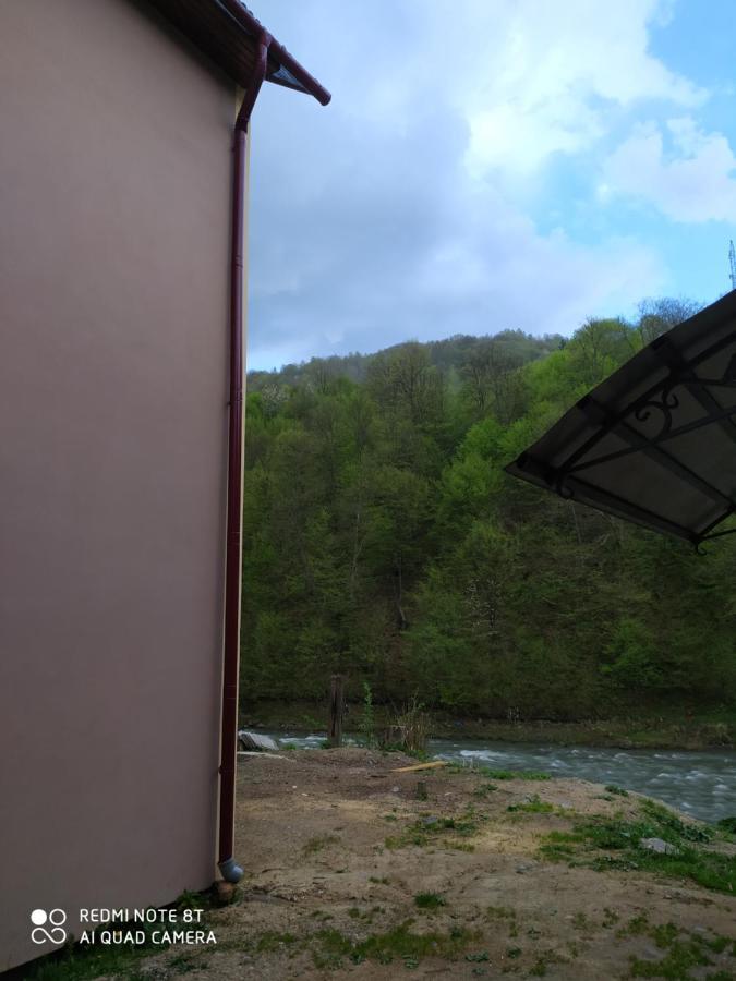 Panorama Apartment Kvasy Bagian luar foto