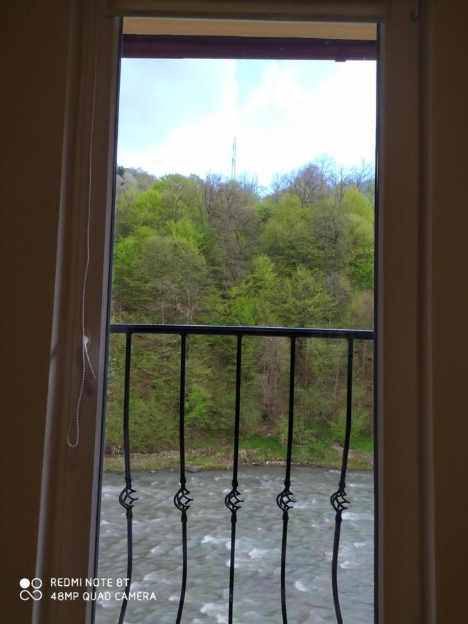 Panorama Apartment Kvasy Bagian luar foto